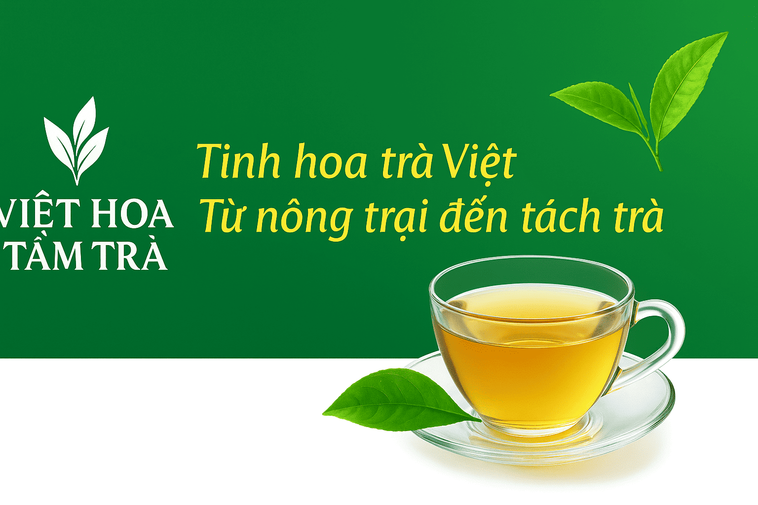 Việt Hoa Tâm Trà - kết nối nông trại trà đến trực tiếp khách hàng