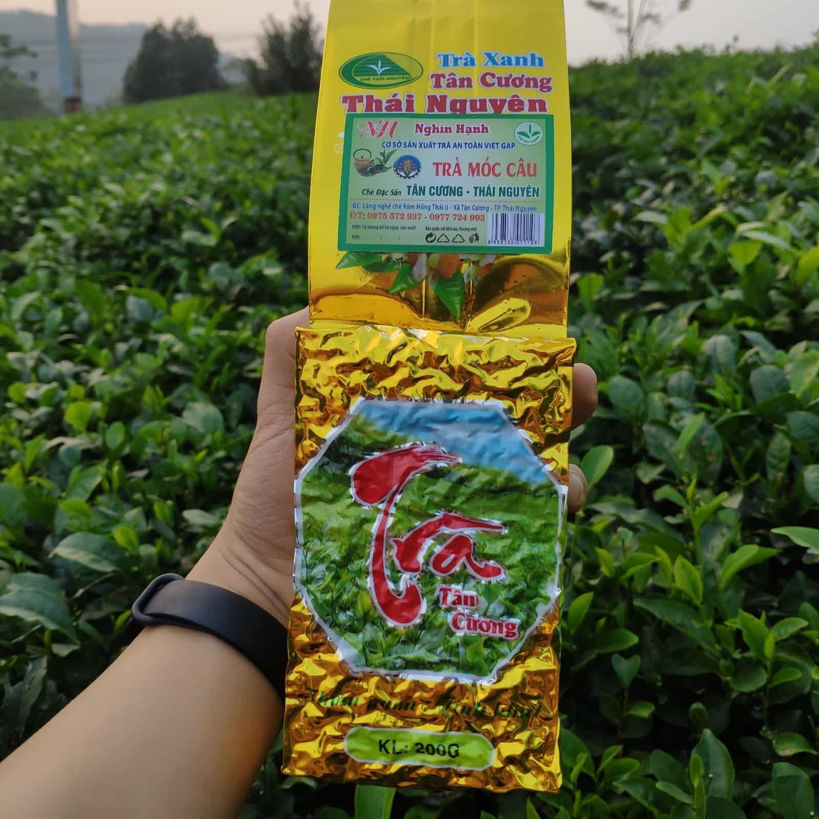 HeroShot Trà Móc Câu Thái Nguyên - Nông Trại Trà Nghìn Hạnh